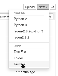 Jupyter new terminal